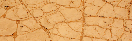 Mudcracks Mudcracks