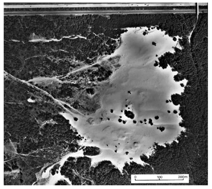 Hulshorster 1985 Hulshorster 1985