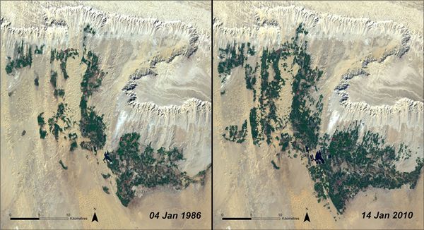 Agriculturalgrowth_Egypt Agriculturalgrowth_Egypt