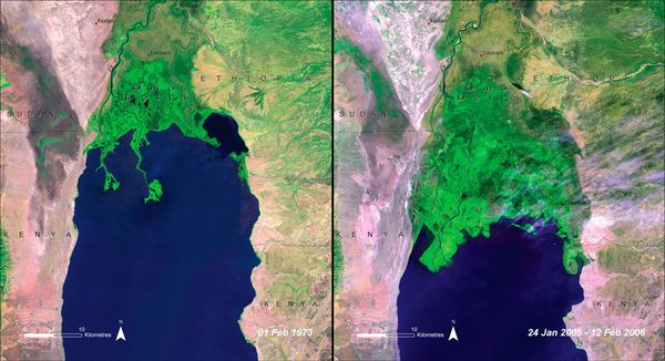 Deltagrowth_Kenya Deltagrowth_Kenya