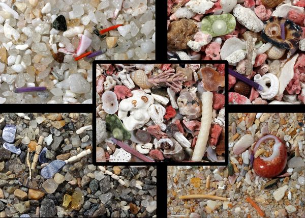 Leo comp small Leo comp small