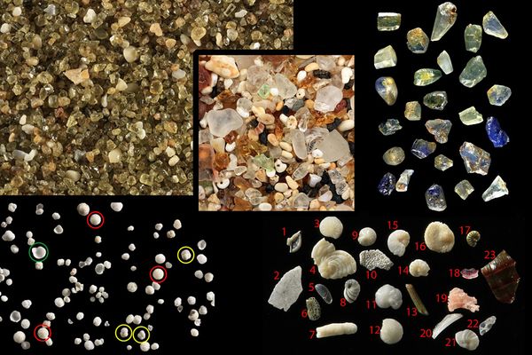 Sepp comp small Sepp comp small